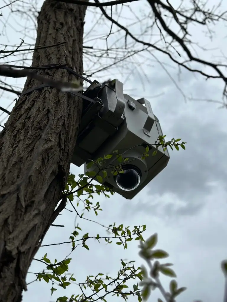 Mobiele camera bevestigd aan een boom